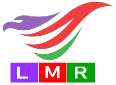 LMR Solution